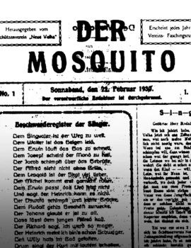 der_mosquito
